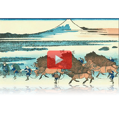 遠近風景画 富嶽三十六景 其の三十一 駿州大野新田 Sunshu Onoshinden Thirty-six Views of Mount Fuji 3D